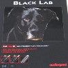 AudioQuest Black Lab Subwoofer Cable
